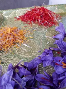 Safran de qualité supérieure, très aromatique, avec des stigmates longs de couleur rouge cramoisie foncé et des fleurs jaunes/orangées – un Croyau de Vie économique - Product Image 6