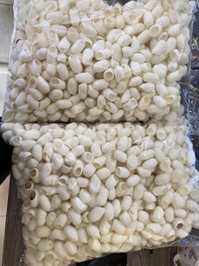 Cocon de soie blanc coupé et nettoyé pour l'exfoliation, le raffermissement et l'hydratation de la peau du visage, qualité supérieure, provenant de fermes vietnamiennes, prix abordable - Product Image 2