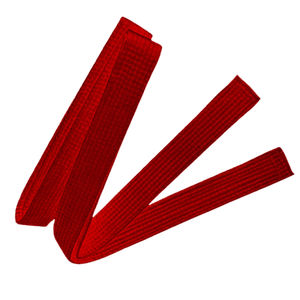 Ceintures de karaté personnalisées colorées en gros 2026 100 % coton, ceintures d'arts martiaux personnalisées, service OEM - Product Image 3