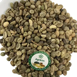 (Amostra livre) oem melhor qualidade vietnamita café 100% feijão de café robusta orgânico do vietnã + 84 326055616