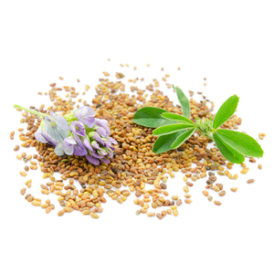 Graines de luzerne à haute germination, fourrage biologique pour une agriculture durable - Product Image 3