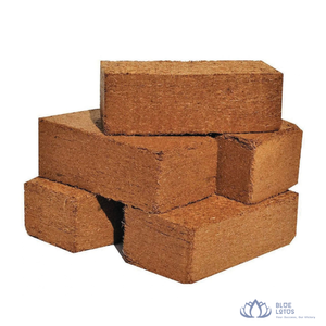 [BEST SELLING] Bloc de fibres de coco biodégradable pour substrat de culture hydroponique en serre, provenant du Vietnam - Product Image 1