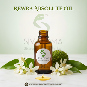 Aceite Absoluto de Kewra Exclusivo para Marcas de Perfumes Premium, Productos Aromáticos, Velas y Fabricación de Fragancias Finas - Product Image 6