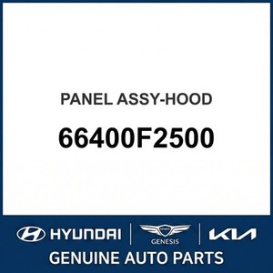 Paneles de Capó Nuevos para Elantra 66400F2500 - Product Image 1