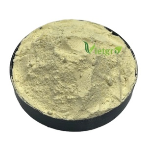VIETGRO - Fertilizante de Fosfato DAP 15-45 en Polvo para la Agricultura - Hecho en Vietnam - Product Image 1