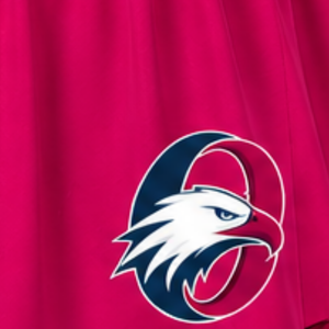 Jupe de cheerleading rose vif plissée, uniforme sportif avec bordure rayée, tenue de performance d'équipe, vêtements de sport personnalisés - Product Image 4