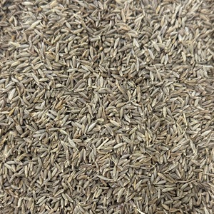 Cumin Séché Mélangé Brut AD le Plus Vendu pour Assaisonnements et Préparations Alimentaires – Vente Directe Usine à Bas Prix - Product Image 3