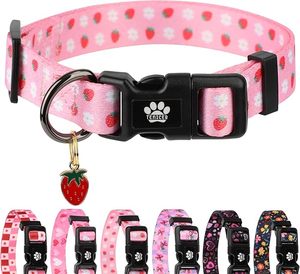 Dog <b>Collar</b> With Strawberry Pattern Adjustable Buckle For Small Dogs Cute Style All Seasons Polyester Material - Product Image 1