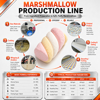 Complete marshmallow productielijn, continue klopmachine voor fruit smaak marshmallow industriële verwerking