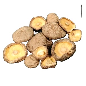 Hongos shiitake secos a precio barato, nueva cosecha, tallo de champiñón shiitake a granel, seta shiitake seca - Product Image 3