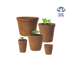 Macetas de Fibra de Coco Blue Lotus Dylan Vu, Biodegradables, Ecológicas, Duraderas, para Jardín, Diseño Cuadrado, Sin Recubrimiento - Product Image 1