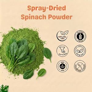 Poudre d'épinards séchée par pulvérisation 100 % pure, biologique, sans OGM, extrait de feuilles, excellente solubilité dans l'eau pour les nutraceutiques santé en gros - Product Image 3