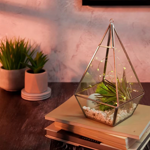 Terrarium en verre géométrique avec un design moderne à facettes, élément décoratif élégant pour table, étagère, salon, décoration intérieure - Product Image 2