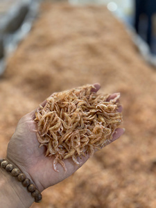 กุ้งแห้งคุณภาพดี ราคาแข่งขันจากเวียดนาม สำหรับขายส่ง - Product Image 4