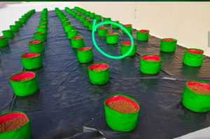 Bloc de tourbe de coco biologique premium, grand format, pour le soutien de la croissance racinaire en jardin, hydratant, écologique et biodégradable - Product Image 3