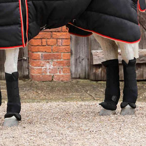 Bottes de transport pour chevaux 2026 : Design haut de gamme, qualité supérieure, avec néoprène et bandages rafraîchissants - Product Image 2