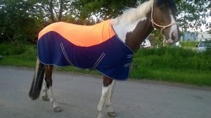 Couverture en polaire pour chevaux PRIMA, légère, durable, en polyester, tissu en polaire doux de qualité, lavable en machine, toutes saisons - Product Image 4