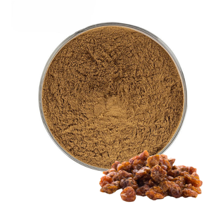 Extrait de Guggul 100% Pur, Meilleure Vente, 20% en Poudre, Extrait de Gomme Naturelle de Commiphora Wightii, Fournisseur en Gros d'Inde - Product Image 6