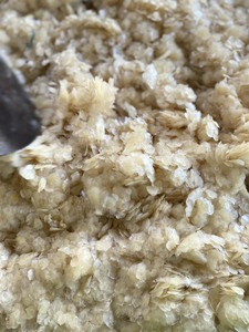 Proveedor de escamas de pescado de tilapia seca: escamas de pescado seco para la producción de colágeno de Vietnam/Sra. Lima - Product Image 5