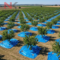 Toile de paillage écologique pour la culture de légumes, fruits et fleurs, toile de paillage pour la protection du sol dans les champs agricoles