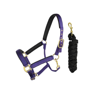 Licol pour cheval avec longe, haute qualité, équestre, en PP, taille personnalisable, confortable pour l'équitation, vente chaude - Product Image 3