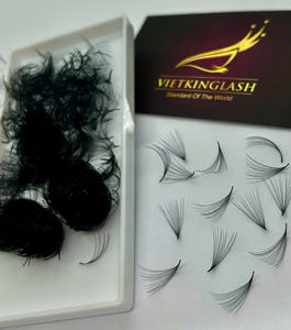 Pestañas de Volumen Ruso Pre-fabricadas Ultra Speed 3D 6D 10D 20D Super Fans Point Base, 8-25MM, Efecto Wispy - Product Image 1