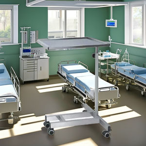 Mesa Médica de Clase I para Uso Hospitalario de Alta Tecnología, Fabricada en Delhi, Equipo Médico Metálico - Product Image 3