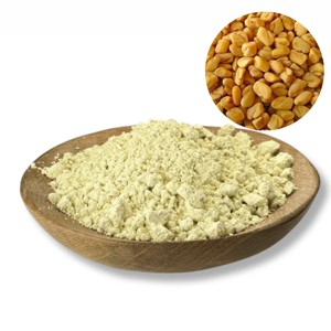 Bulk Quality Fenugreek Seed Powder Premium Grade Fenugreek Seed Powder Manufacturer Helps Maintain Healthy Metabolic Function - Product Image 1