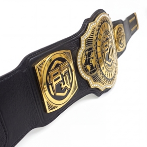 Ceinture de championnat intercontinental des poids lourds, dorée, avec plaque à lettrage noir, boucle, style décontracté, durable, moulage monobloc - Product Image 3