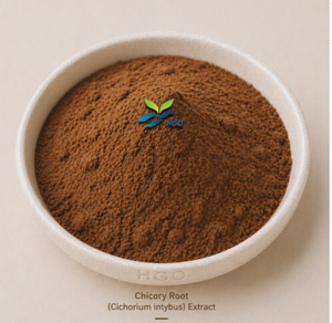 Hgo สารสกัดจากรากชิกโครีธรรมชาติบริสุทธิ์ (cichorium intybus) สารสกัด (อาหารเพื่อสุขภาพ) ข้อมูลจำเพาะ10:1 - Product Image 1