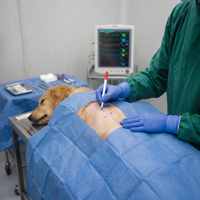 Marqueur cutané chirurgical professionnel permanent non toxique pour marquage cutané humain, résistant aux solutions de lavage chirurgical, effaçable, pointe fine