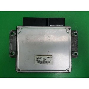 ECUs y Módulos de Computación Usados de Carnival 391044X920 - Product Image 3