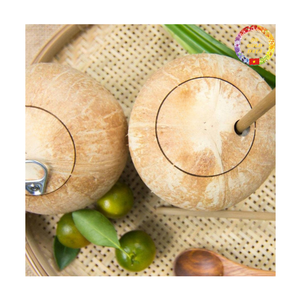 Young Coconut | Ball Shape | <b>Soft</b> Flesh & Sweet Water | Easy Open | OEM Supplier Vietnam - Product Image 3
