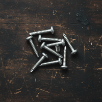 Vis à tête cylindrique en acier inoxydable sur mesure de 9,5 mm à 50 mm - Inox 304 316 410