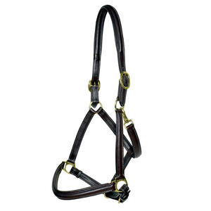 Pechera de Cuero Profesional Ajustable de Alto Rendimiento para Equipo de Equitación al Mejor Precio al por Mayor - Product Image 2