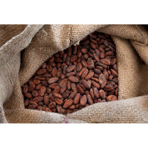 Granos de Cacao de la Mejor Calidad en Venta a Precio Económico, Granos de Cacao al por Mayor - Product Image 6