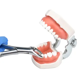 Alicates de extracción de dientes para dentista, fórceps y equipos, instrumentos quirúrgicos dentales VERITAS de acero inoxidable, a la venta