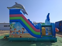 Structure gonflable commerciale combinée château et toboggan, aire de jeux gonflable, certifiée CE, garantie 3 ans, capacité maximale 500 personnes