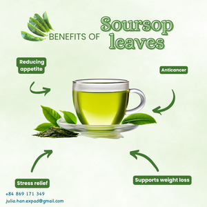 ชาซุปเปอร์โซปแบบซองพรีเมียม ชาใบกระเจี๊ยบแห้งแบบซองฉลากส่วนตัว มาตรฐานสหรัฐอเมริกา รับผลิตแบบ OEM ขายส่งจำนวนมาก - Product Image 4