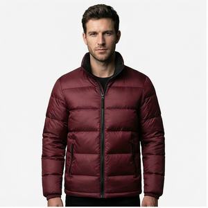 Blouson matelassé à capuche pour homme, imperméable et rembourré, style urbain, pour l'hiver, nouvelle collection, effet bulle - Product Image 1