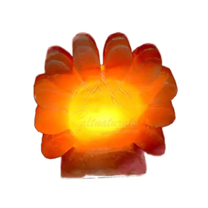 Lampe de sel de l'Himalaya au design lumineux et chaleureux, idéale pour la chambre à coucher - Product Image 3