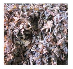 มอสทะเลสีม่วงจากเวียดนาม // มอสทะเลแห้งไอริชคุณภาพสูง // Ms. Beatrix - Product Image 6