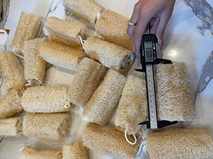 Éponge de loofah biodégradable de qualité export, brosse de douche en fibres naturelles, tranches de luffa pour la fabrication de savon en vrac - Macy - Product Image 5
