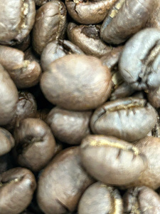 เมล็ดกาแฟเวียดนามแท้ รสชาติแบบดั้งเดิม ครีมาเข้มข้น เหมาะสำหรับเครื่องชงกาแฟฟินและเครื่องทำเอสเพรสโซ - Product Image 5