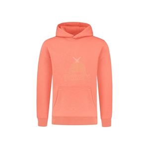 Venta al por mayor de sudaderas con capucha de las mujeres de alta calidad 100% de algodón de gran tamaño Plain Heavyweight Streetwear 3D bordado frontal - Product Image 4