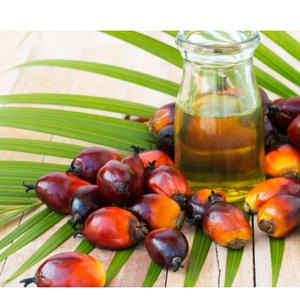 Aceite de Palma Roja TROPICAL para Cocinar, Aceite de Palma con Certificación Halal, Precio de Fábrica, Aceite Vegetal, Envíos a Granel - Product Image 3