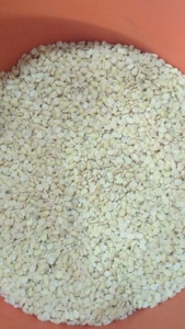 Urad Indio Blanco Orgánico Seco de la Mejor Calidad, Sin Piel, Alto en Proteínas, Fácil de Cocinar, Suministro a Granel de 30 kg, Nueva Cosecha a Buen Precio - Product Image 4