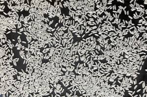 Approvisionnement en vrac de haute qualité de riz au jasmin vietnamien - Product Image 3