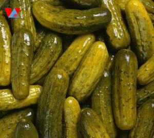 Specializing in Exporting <b>Pickled</b> Cucumbers Size 3-7cm Packed in Cans and Drums in Large Quantities at Factory Prices/ Ms. Lima - Product Image 6