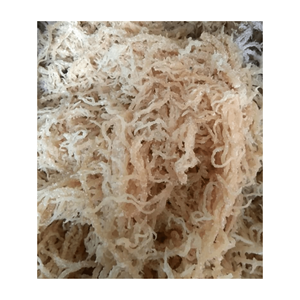 มอสทะเลอบแห้งผักอบแห้งสำหรับการบริโภคมอสทะเลธรรมชาติเค็ม - Product Image 6